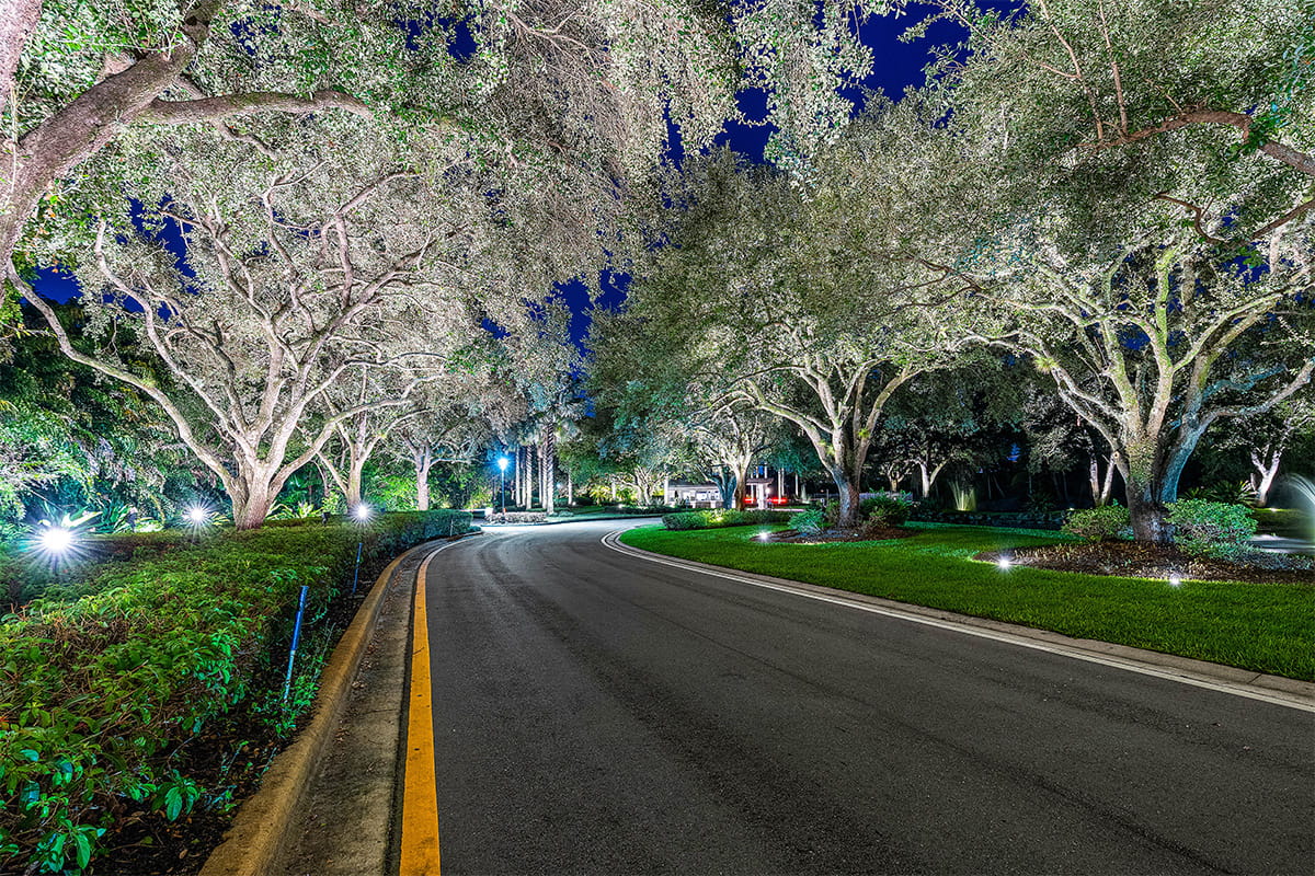 Boca Grove