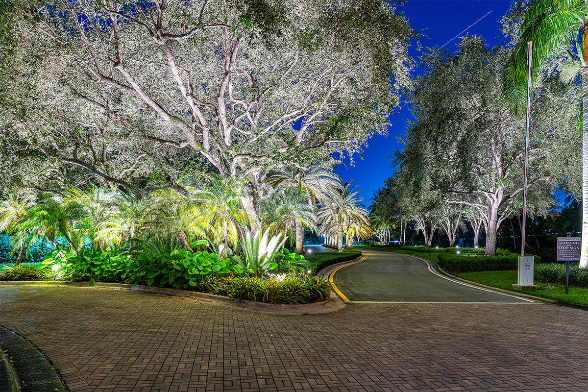 Boca Grove